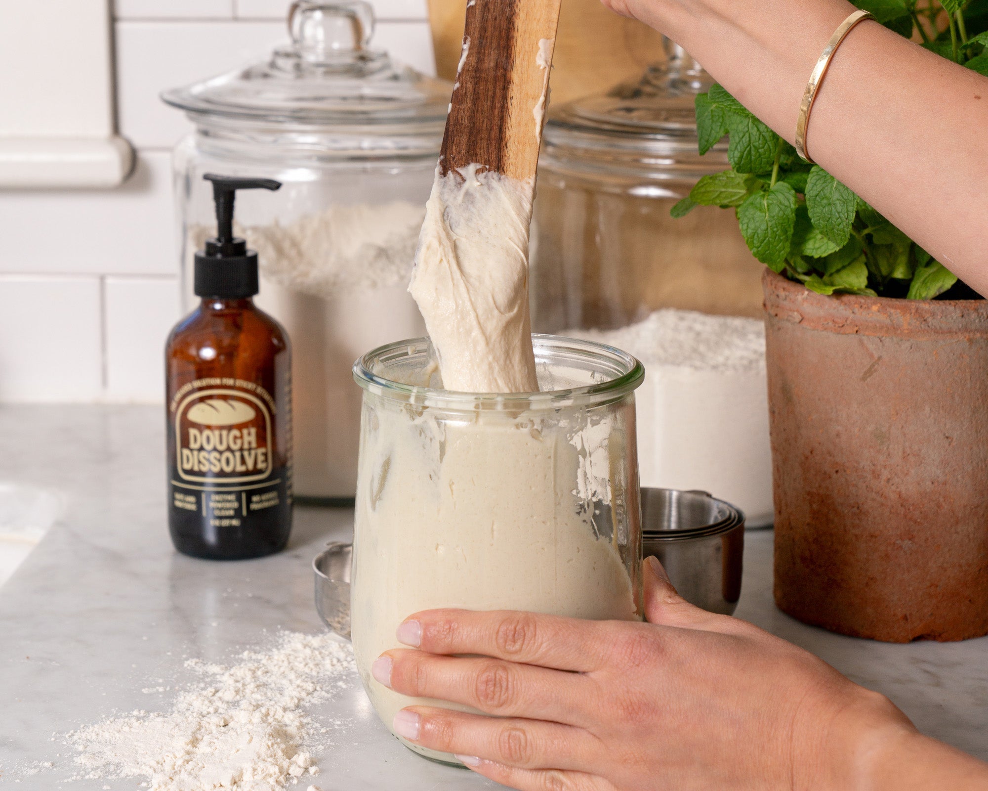 Sourdough Starter 101